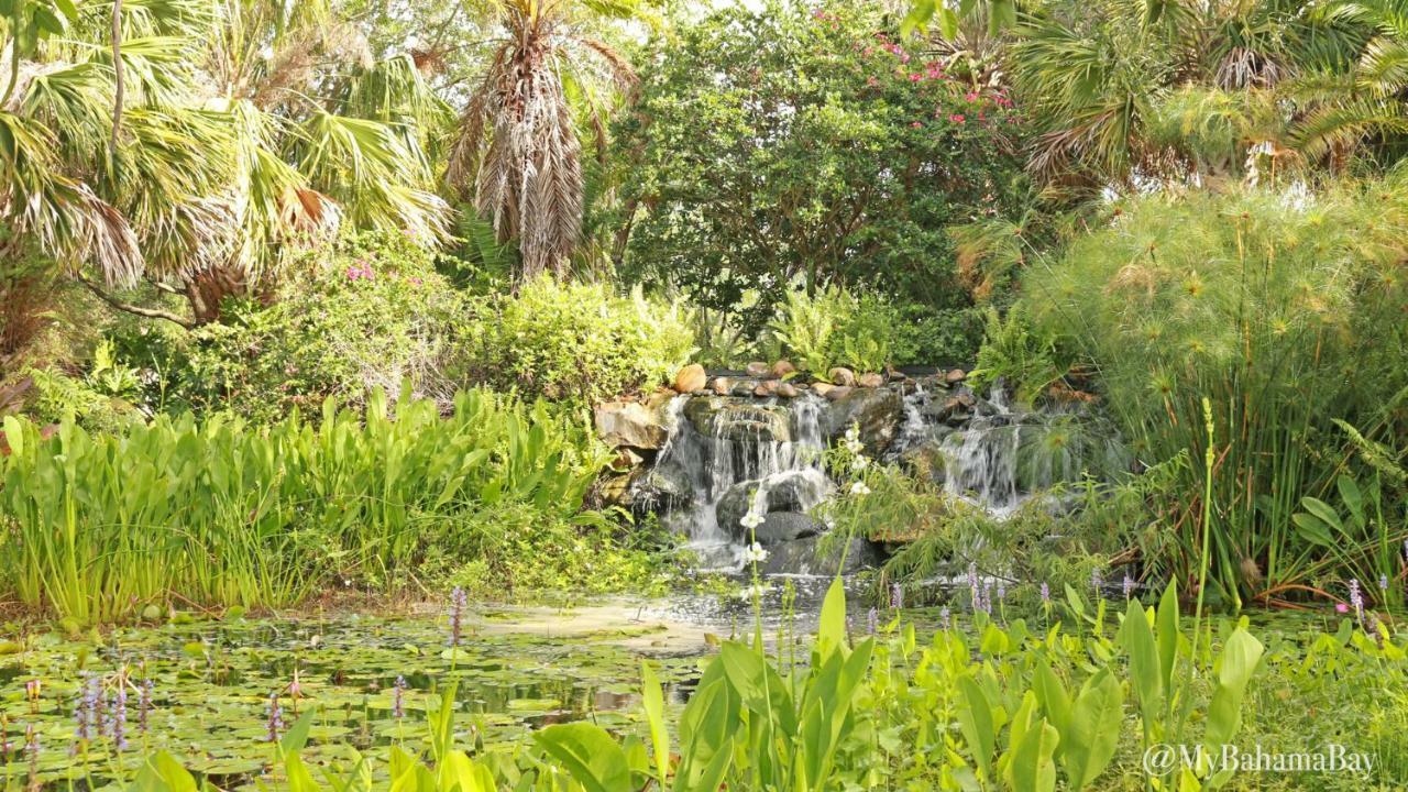 سيتروس ريدج Bahama Bay Condo المظهر الخارجي الصورة